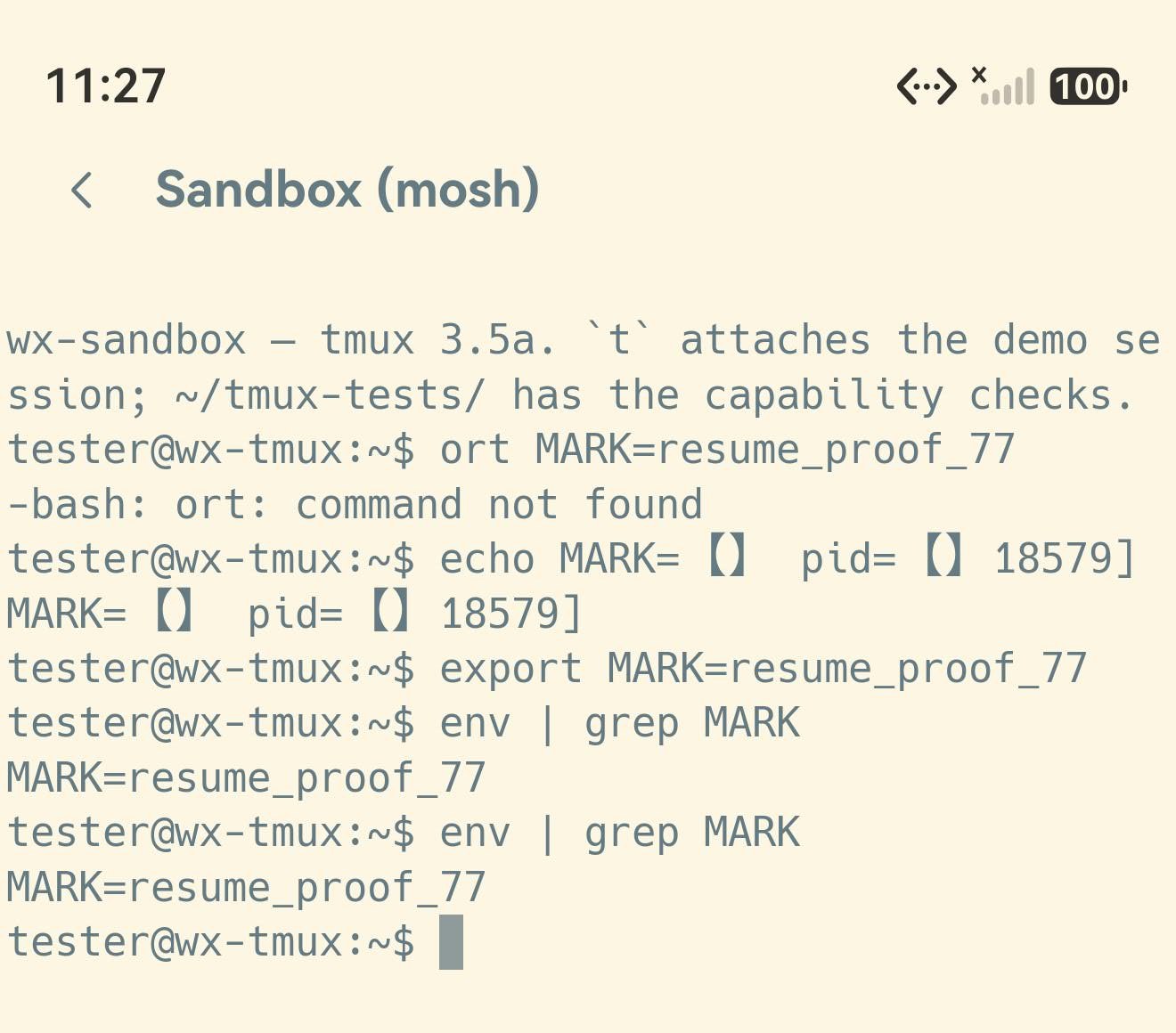 同一个会话在应用重启之后：整屏历史原样保留，末尾又跑了一次 env | grep MARK，同样打印出 MARK=resume_proof_77。状态栏时间 11:27。