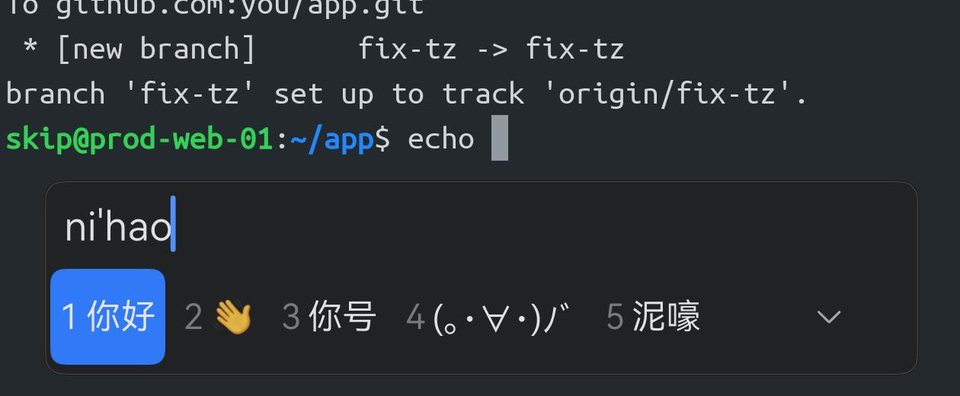 在 Term 的 shell 提示符里 echo 后面输入 nihao：光标下方的系统候选窗口把你好列为第一个候选。