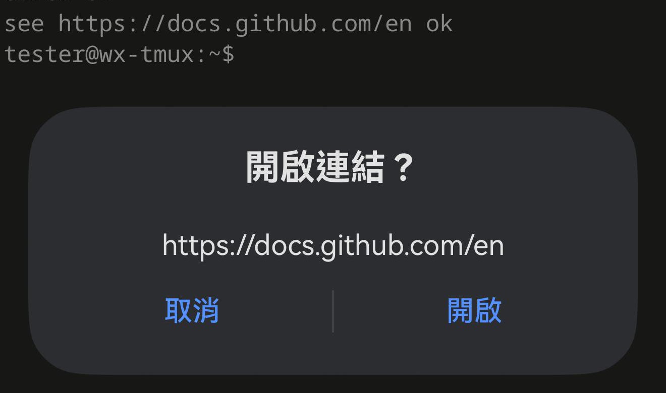 终端上方的确认对话框，显示确切的网址，带取消和开启