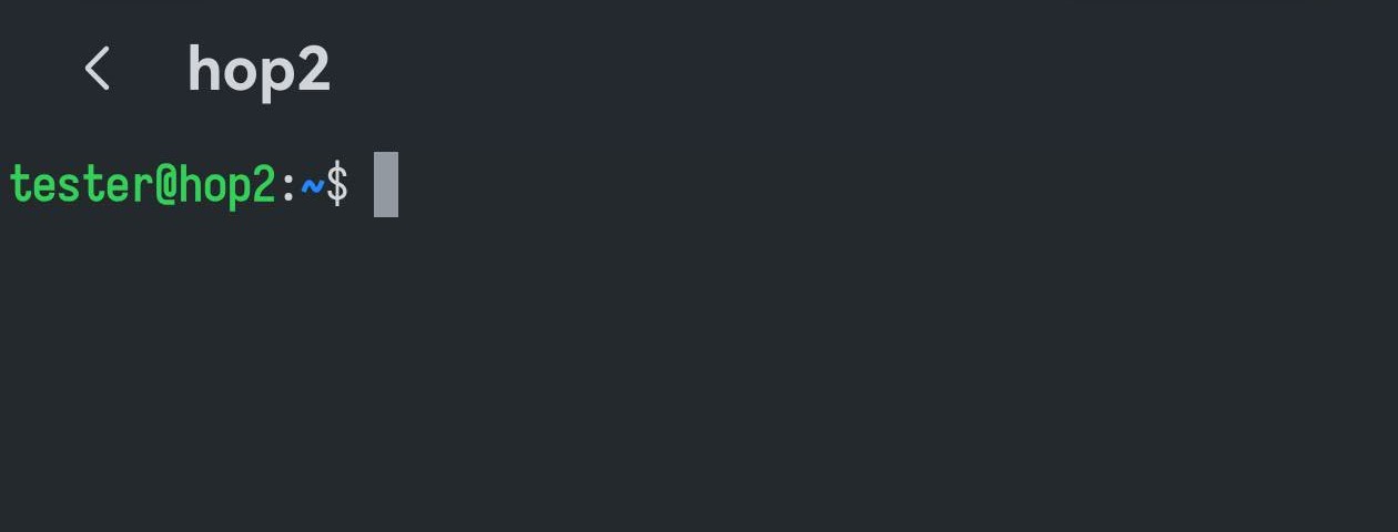 经由链路连上目标主机的终端
