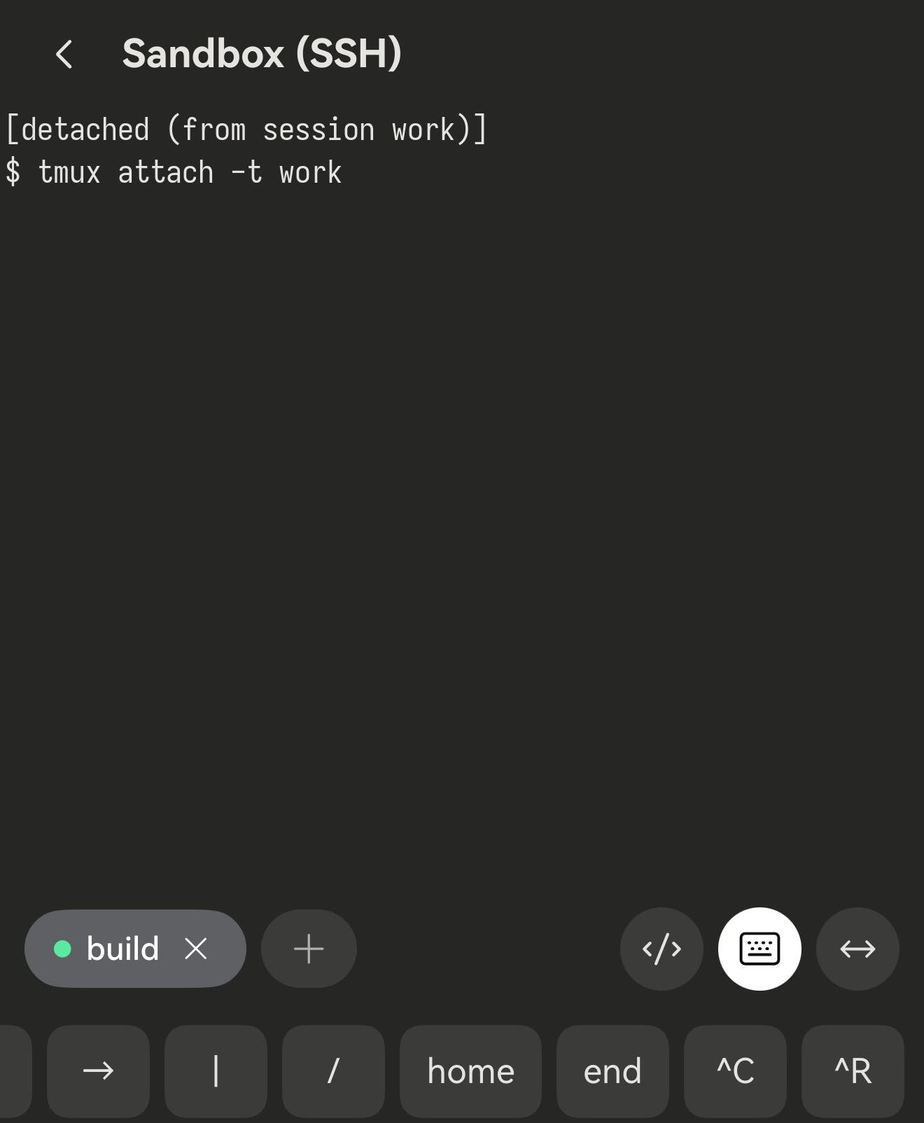 一张图里同时有：tmux 打出的「[detached (from session work)]」，以及下面已经换回普通 shell 那一套的按键栏。