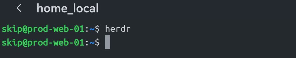 从 herdr 断开后的 shell：herdr 命令和一个新的提示符。