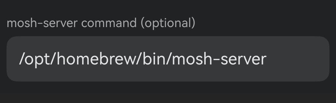 mosh-server 命令输入框里填着 /opt/homebrew/bin/mosh-server。