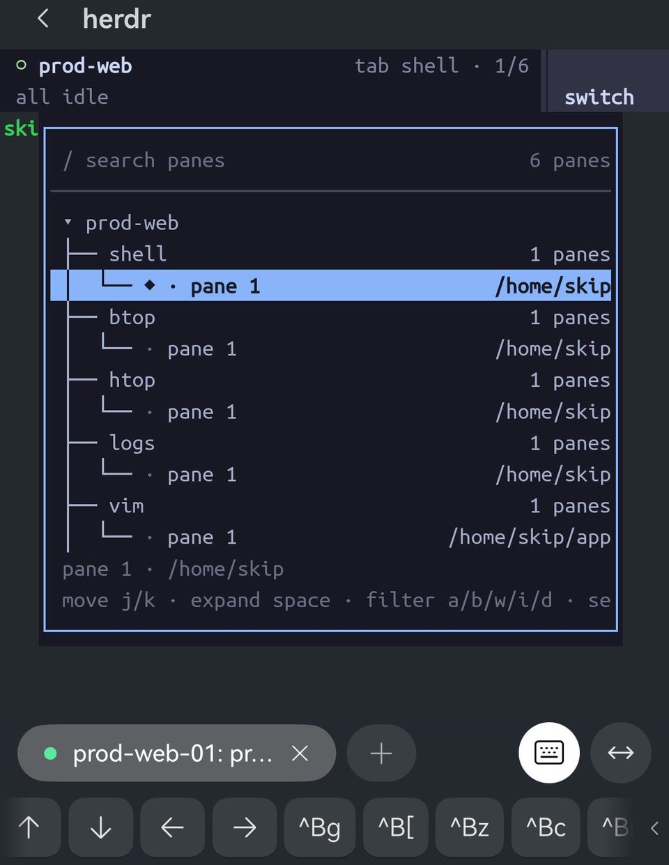 会话上方的 herdr goto 选择器：工作区 prod-web 下有 shell、btop、htop、logs 和 vim 几个标签页，各自带着窗格和工作目录。