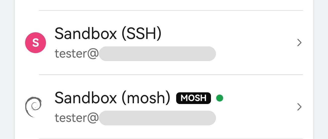 主机列表：Sandbox (mosh) 那一行带着 MOSH 标记和一个绿色圆点。