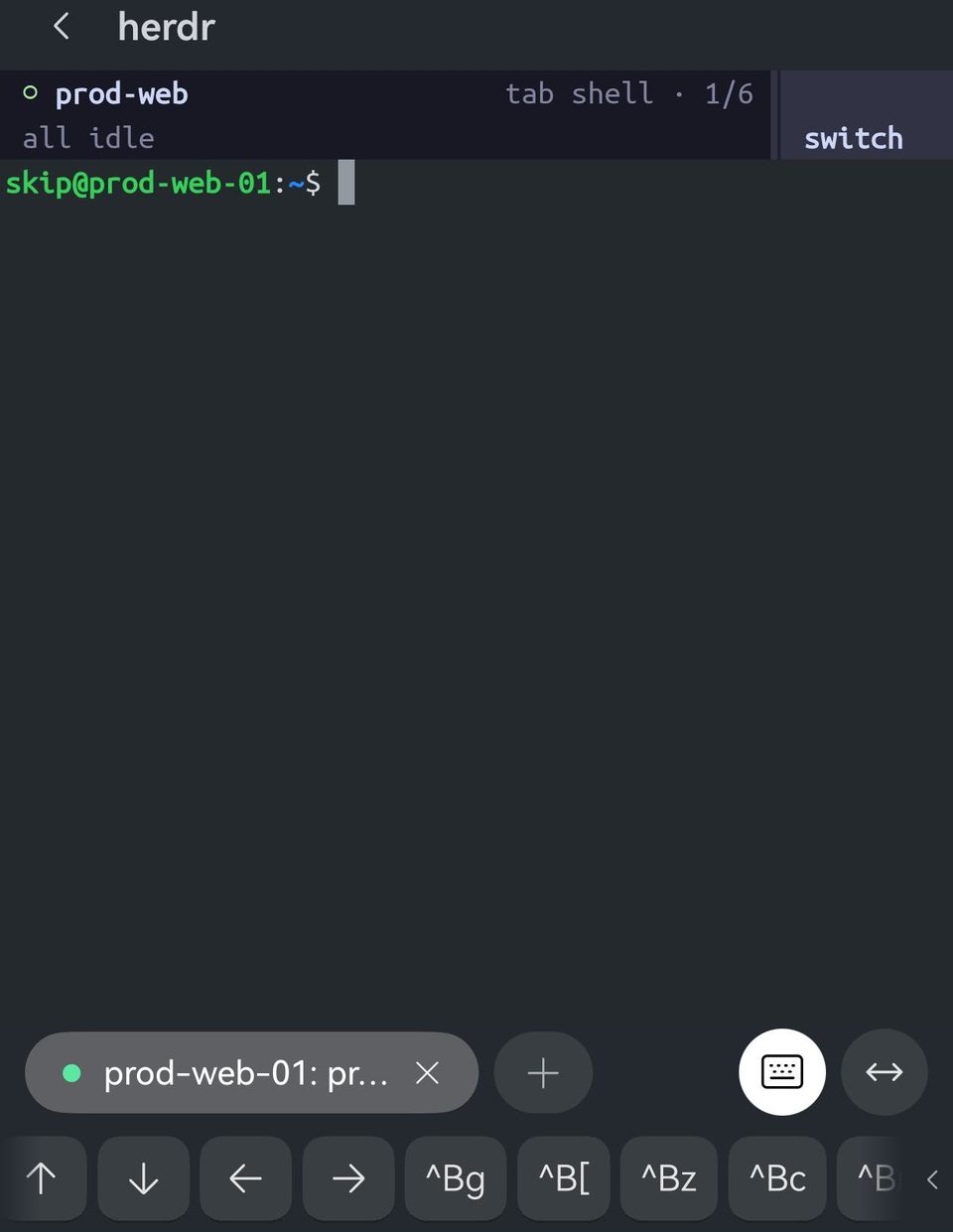 Term 中运行着 herdr。标题栏显示 herdr，herdr 自己的顶栏显示工作区 prod-web 和标签页 shell 1/6，键盘上方的按键栏显示 ^Bg ^B[ ^Bz ^Bc。