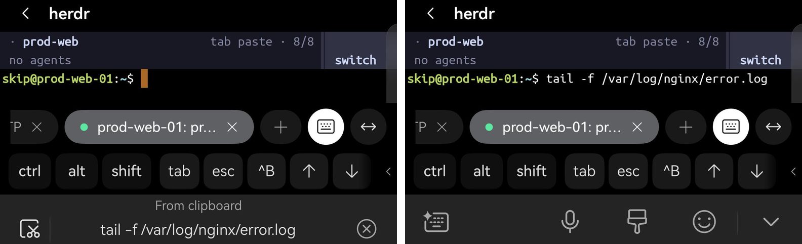herdr 窗格中 shell 提示符的两个画面：鸿蒙输入法在按键上方的 From clipboard 下显示 tail -f /var/log/nginx/error.log；点它之后，这条命令出现在提示符上。