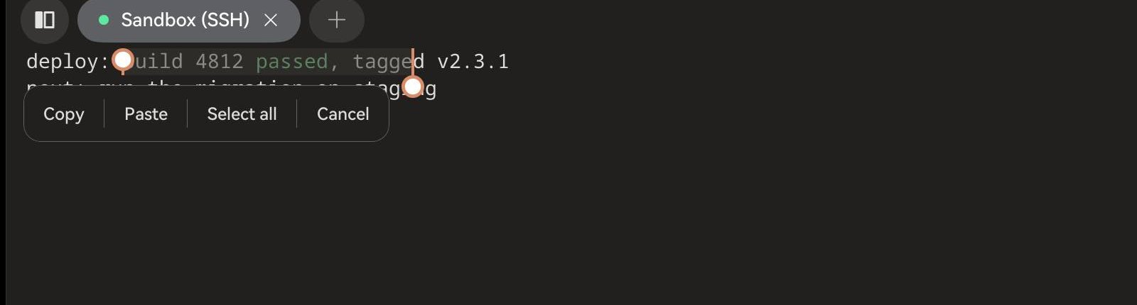 平板上用滑鼠拖選 build 4812 passed, tagged：選取範圍兩端各有一個圓形把手，複製 / 貼上 / 全選 / 取消 選單蓋住了下一行。