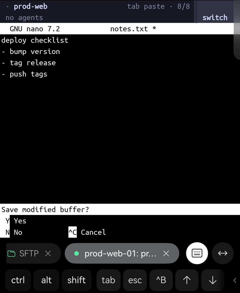 Term 里 herdr 标签页中的 nano 正在编辑 notes.txt；按下按键栏的 ctrl 再按键盘上的 x 后，nano 询问 Save modified buffer?，选项为 Yes、No 和 Cancel。