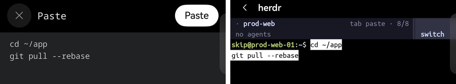 两个画面：Term 的粘贴面板显示 cd ~/app 和 git pull --rebase，旁边是粘贴按钮；之后这两行出现在 herdr 的 shell 提示符上，高亮显示，尚未运行。