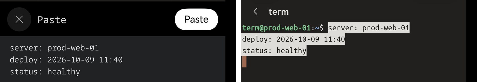 Two views: Term's Paste sheet showing the three yanked lines with a Paste button; then the shell prompt with the same three lines pasted, highlighted and not yet run.