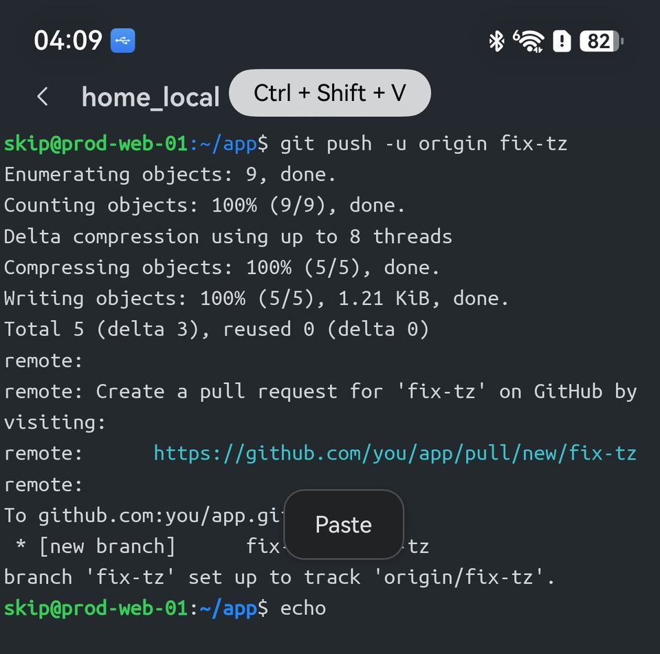 Term 标题栏上显示 Ctrl + Shift + V 提示，提示符上方是粘贴按钮。