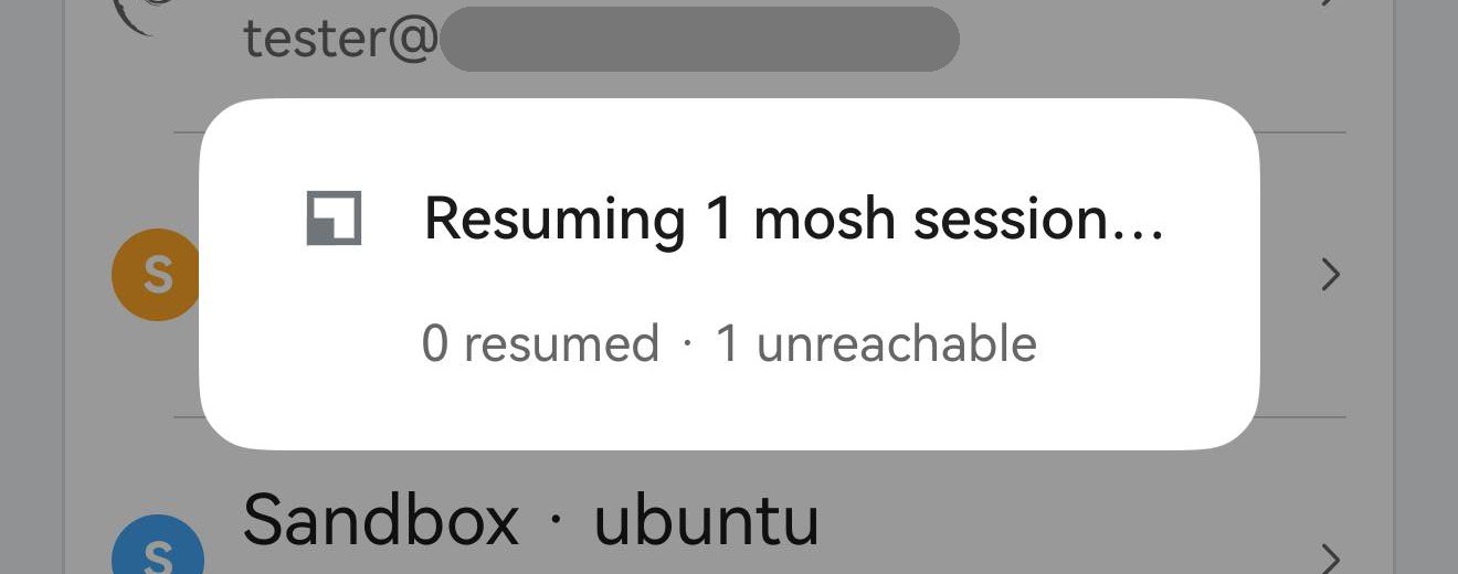 同一个小窗，计数那一行显示 0 resumed · 1 unreachable。