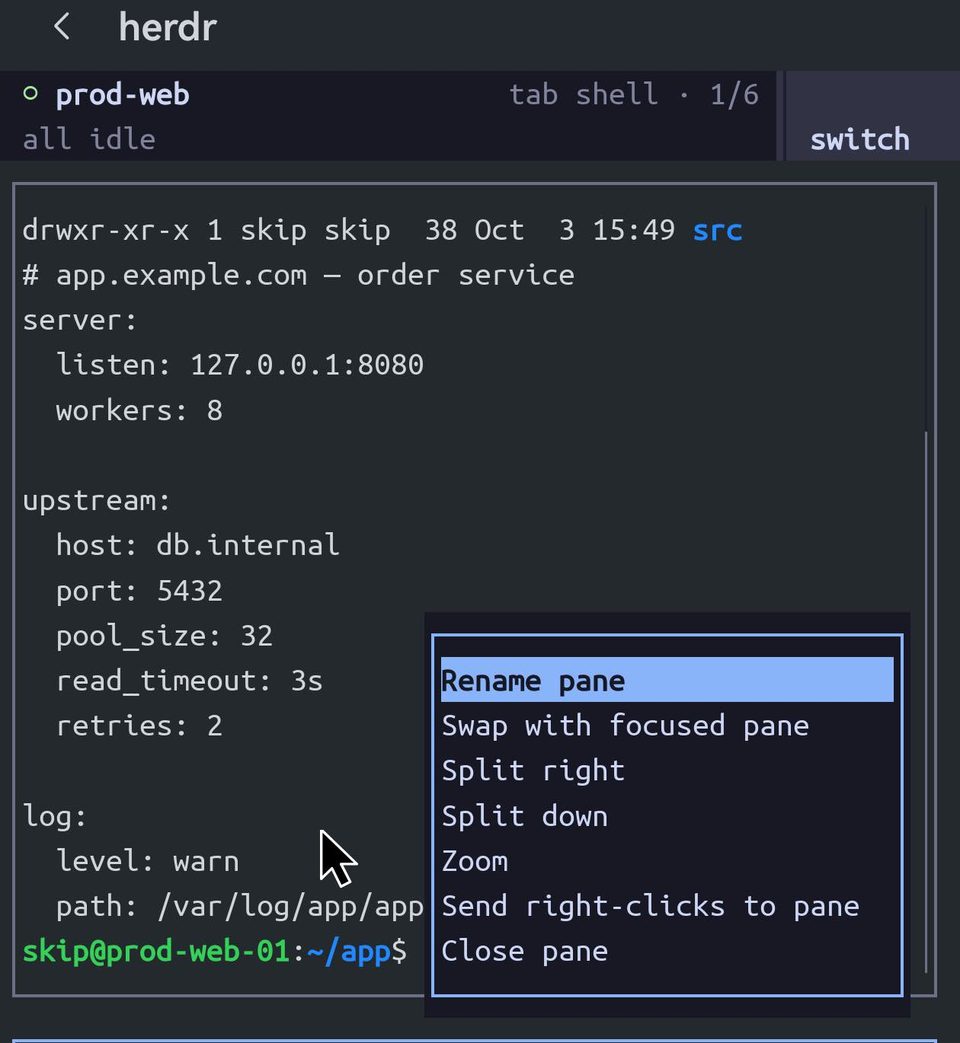 右键打开的 herdr 窗格菜单：Rename pane、Swap with focused pane、Split right、Split down、Zoom、Send right-clicks to pane、Close pane。