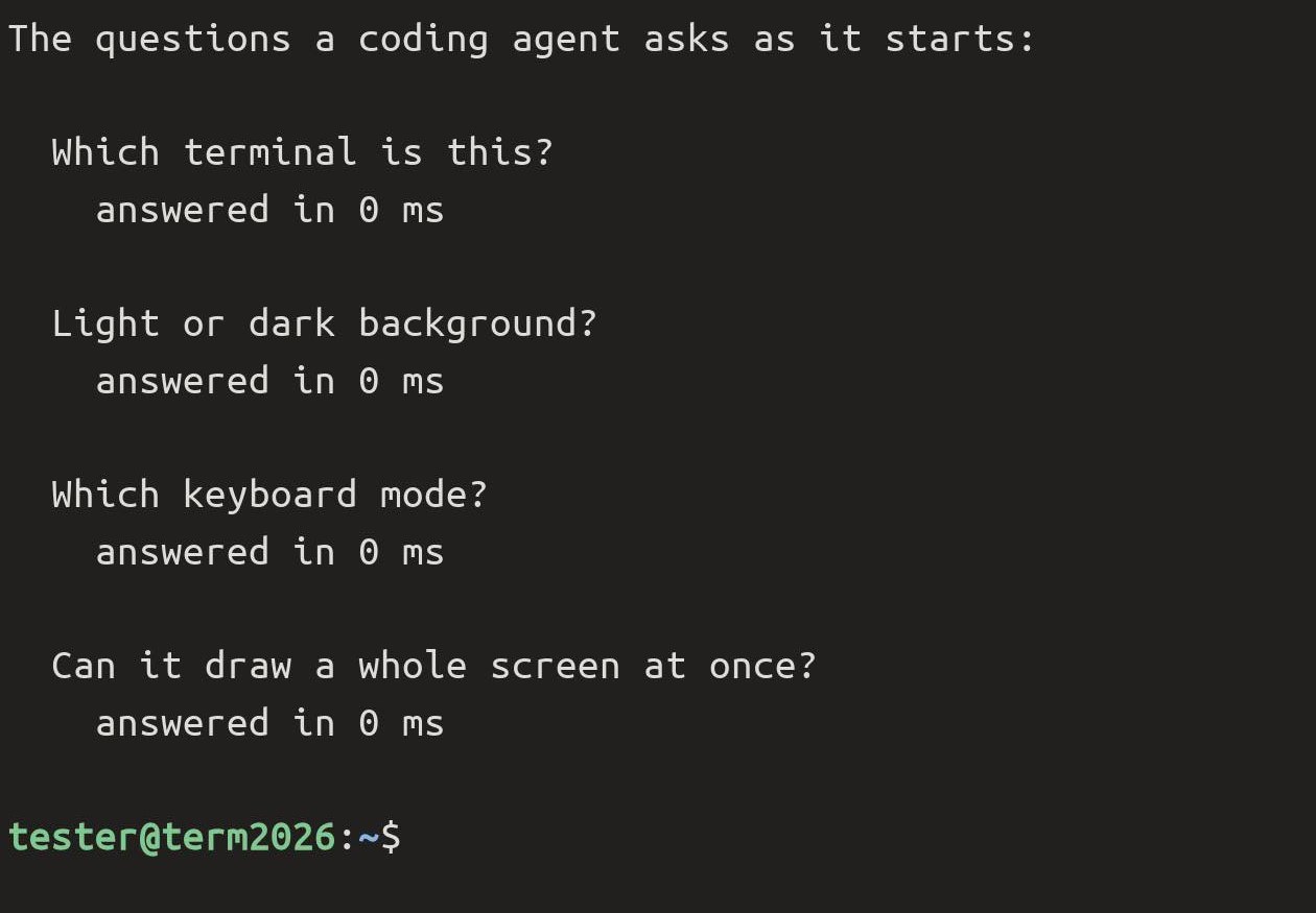 The same four questions over termosh, each 'answered in 0 ms'.