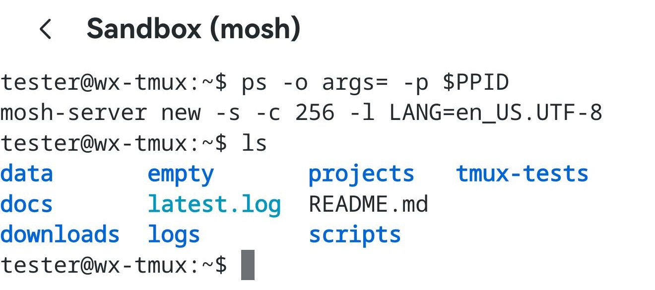 Inside a mosh session, ps -o args= -p $PPID prints mosh-server new -s -c 256 -l LANG=en_US.UTF-8.