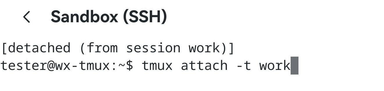 Two lines in the terminal: tmux printing [detached (from session work)], and below it a prompt with tmux attach -t work typed in.